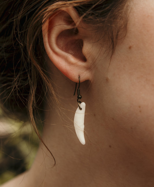 Coyote Fang Earrings