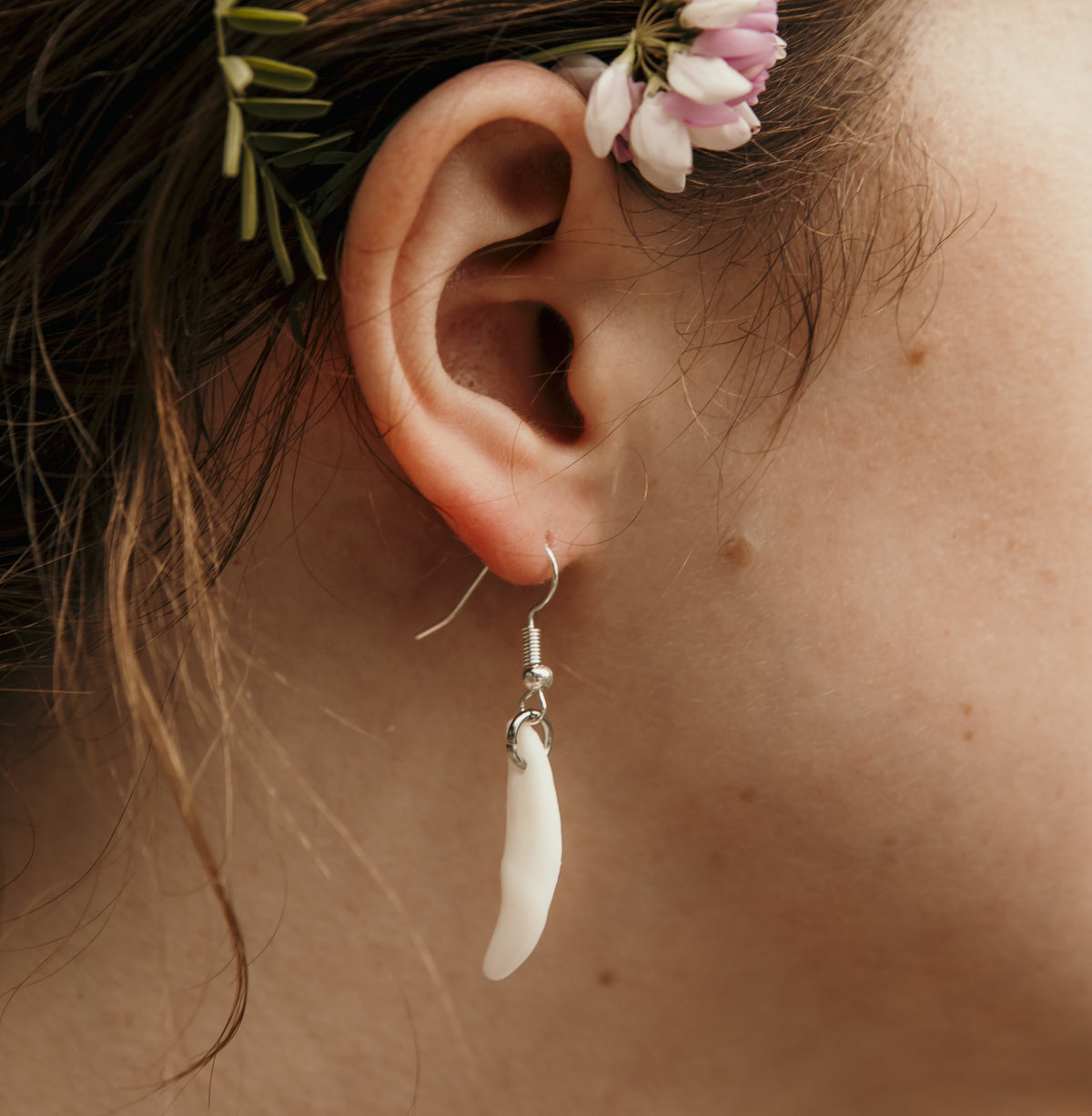 Coyote Fang Earrings