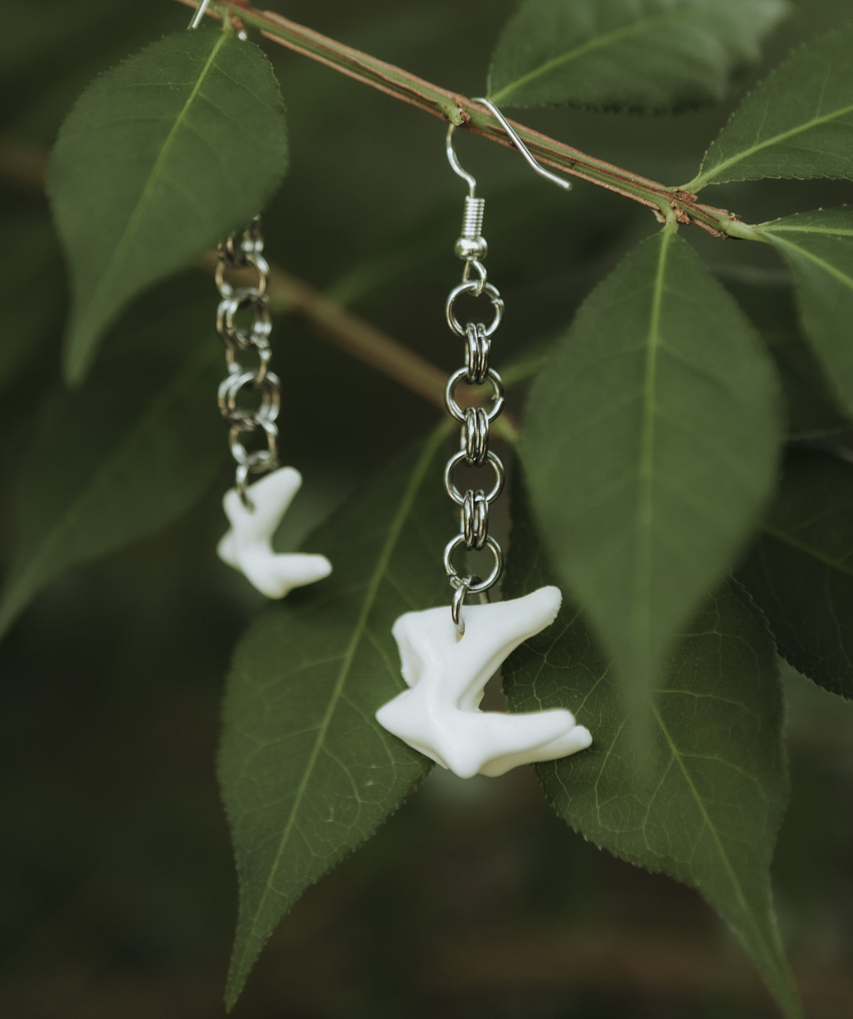Coyote Teeth  Chainmail Earrings