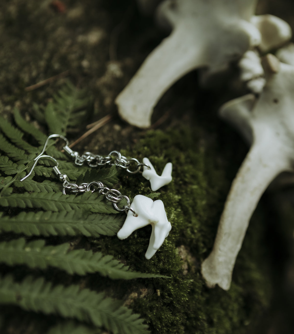 Coyote Teeth  Chainmail Earrings